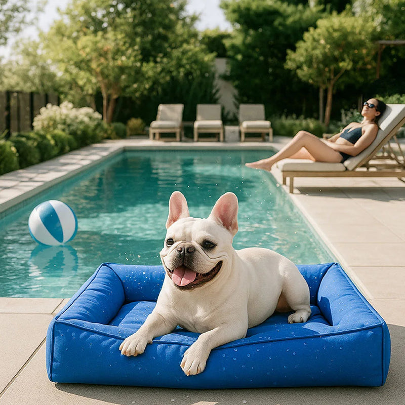 Fully Orthopedic Surround Support Waterproof Oxford Large Dog Bed with Removable Washable Cover - shimendi