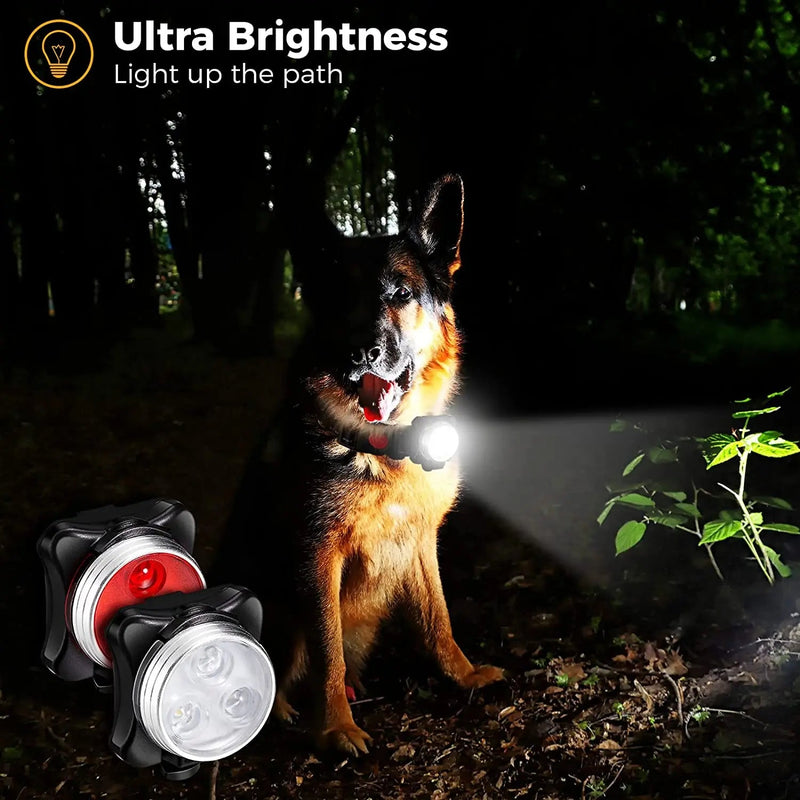 Pet Dog Led Light Lamp Tag Led Dog Collar Light Pendant Glow Night Safety Led Dogs Flashlight For Collar Harness Leash shimendi Sécurité et Confort pour Chien chat| Shimendi
