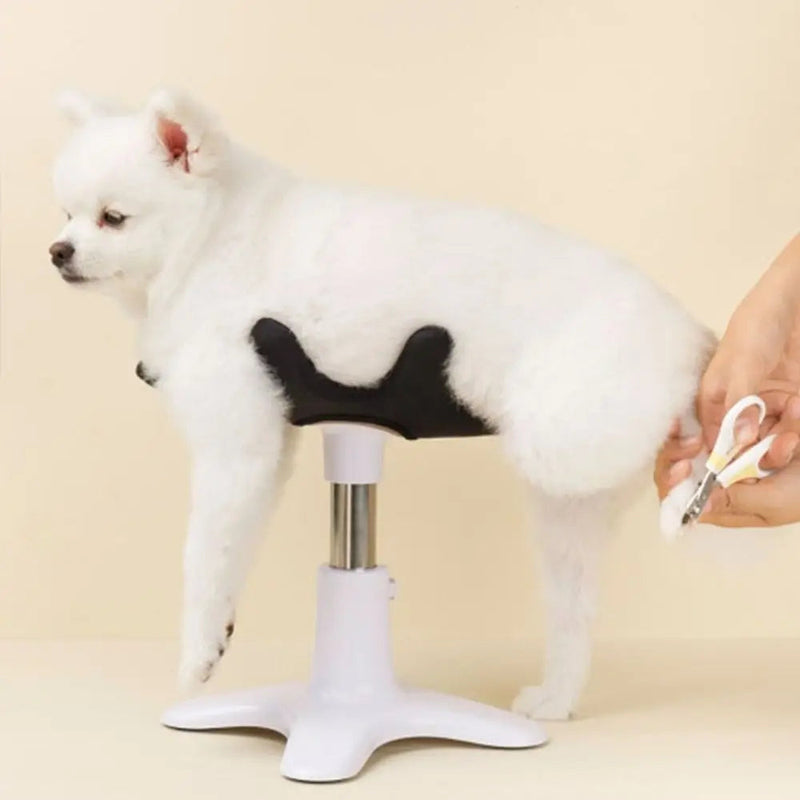 New Dog Grooming Beauty Fixed Table Base Frame Adjustable Metal Pet Bath Fixer Removable Universal Puppy Accessoires Poodle shimendi Sécurité et Confort pour Chien chat| Shimendi