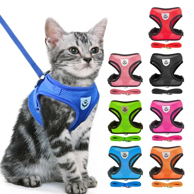 Cat Harness Vest Walking Lead Leash For Puppy Dogs Collar Polyester Adjustable Mesh Dog Harness For Small Medium Pet Accessories shimendi Sécurité et Confort pour Chien chat| Shimendi