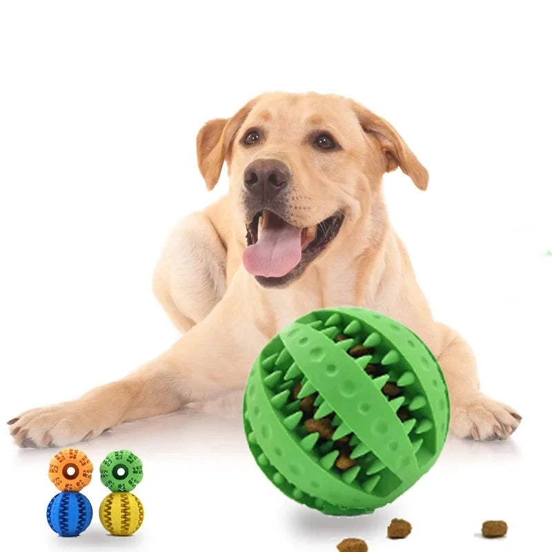 New Pet Dog Toy Interactive Rubber Balls for Small Large Dogs Puppy Cat Chewing Toys Pet Tooth Cleaning Indestructible Dog Ball - shimendi