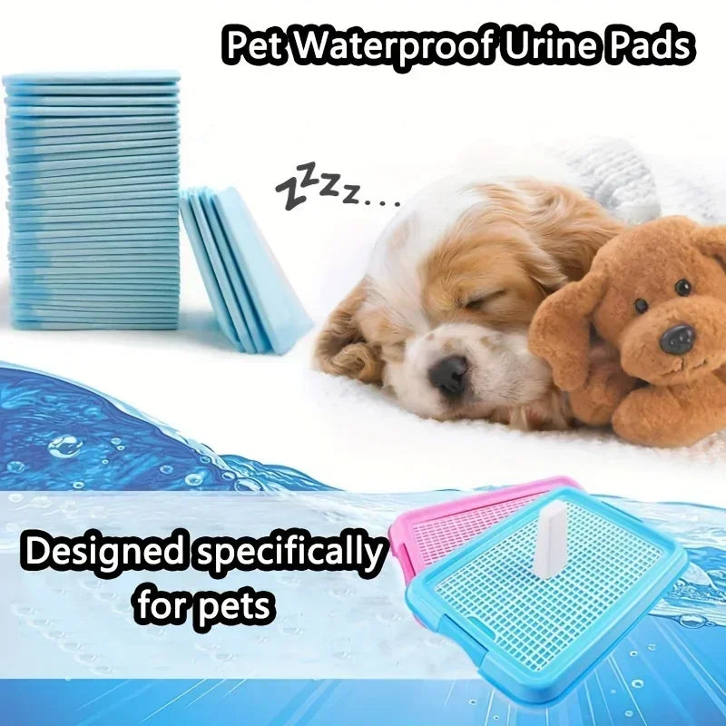 20-100pcs Super Absorbent Odor-Control Disposable Dog Diapers & Training Pads
