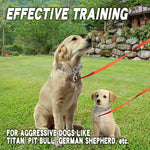 Effective Pinch Dog Training Collar with Comfort Rubber Tips Safe Adjustable Detachable Stainless Steel Pet Prong Collar