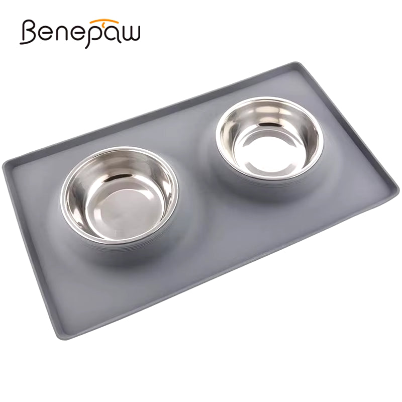 Stainless Steel Double Dog Bowl with Silicone Mat Nontoxic Nonslip No Spill Pet Water Food Bowl Cat Puppy Feed Drinking