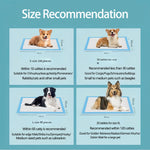 30/40/50/100Pcs Pet Urine Pads Thickened Deodorizing Dog Urine Pads Diapers for Pets Disposable Absorbent Pads Home Toilet Mat - shimendi