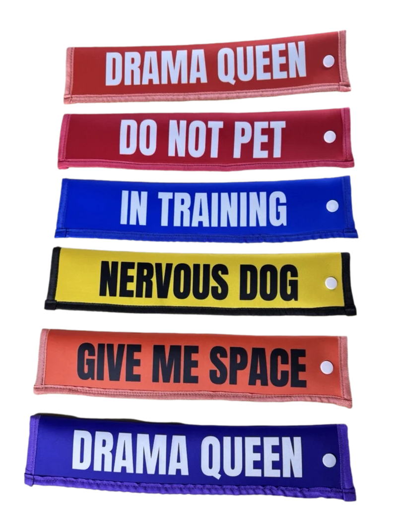 6PCS Dog Leash Sleeve Set – Do Not Pet, Nervous Dog, In Training| Warning & Funny Dog Signs for Different Situation shimendi Sécurité et Confort pour Chien chat| Shimendi