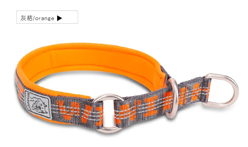 TRUELOVE P chain Pet Reflective Collar Nylon Best Neoprene Padded Half Choke Training  Lightweight Washable Sports YC1852