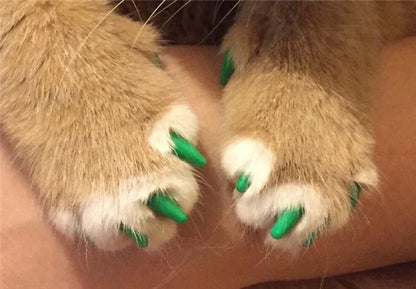Cat Nail Caps Pet Cat Soft Paws Nail Protector Cover With Free Adhesive Glue + Applicator  20pcs/lot for Kitten