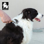 Truelove Deshedding Brush Pets Comb Stainless Steel Removes Undercoat Knots Safe Dog Pet Dematting Comb Grooming Tool TLK25131 shimendi Sécurité et Confort pour Chien chat| Shimendi