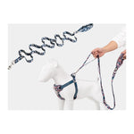 Truelove Floral Pet Leash Neoprene Padded Handle Extra Traffic Control Dog and Cat Strong Enough and Easy to Use Travel TLL3112 - shimendi