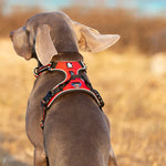 Truelove Pet Reflective Nylon Dog Harness No Pull Adjustable Medium Large Naughty Dog Vest Safety Vehicular Lead Walking Running - shimendi