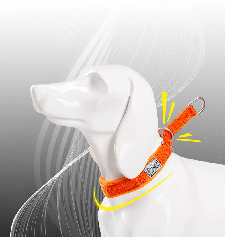 TRUELOVE Pet Collar Nylon Webbing P-chain Explosion-proof Neoprene Padding Pets Running Training Large Medium Small Dogs YC1851