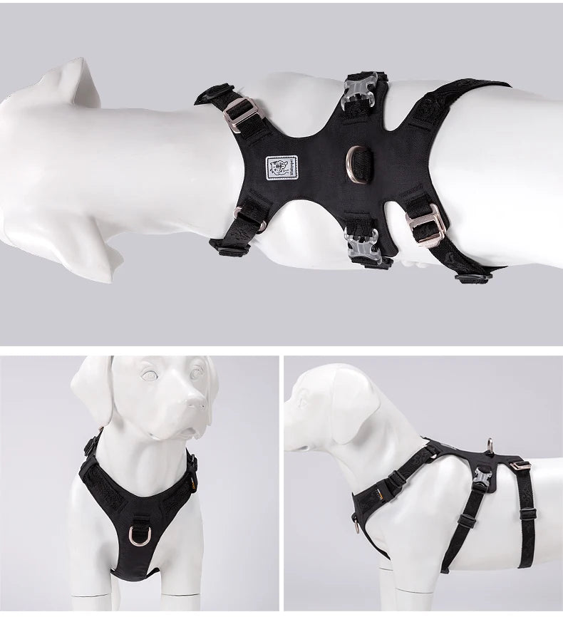 TRUELOVE Pet Nylon Harness Light-weight Double-H Shape Embroidery 5 Adjustable Positions Medium and Large Dog Waterproof  YH1807