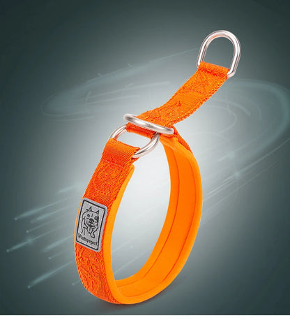 TRUELOVE Pet Collar Nylon Webbing P-chain Explosion-proof Neoprene Padding Pets Running Training Large Medium Small Dogs YC1851