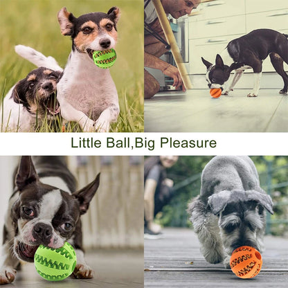 New Pet Dog Toy Interactive Rubber Balls for Small Large Dogs Puppy Cat Chewing Toys Pet Tooth Cleaning Indestructible Dog Ball