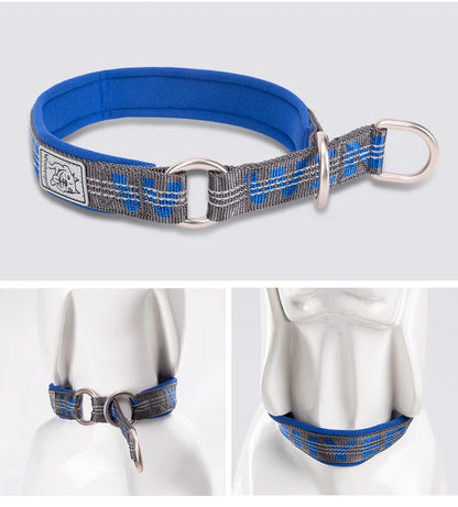 TRUELOVE P chain Pet Reflective Collar Nylon Best Neoprene Padded Half Choke Training  Lightweight Washable Sports YC1852