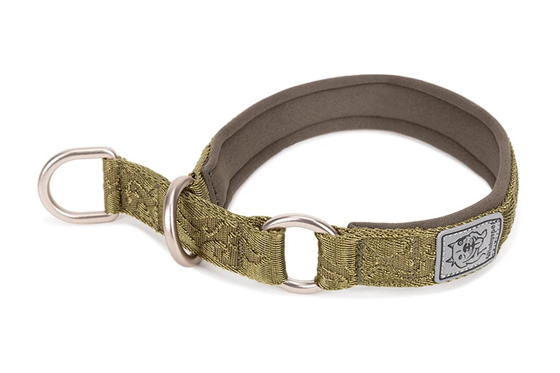 TRUELOVE Pet Collar Nylon Webbing P-chain Explosion-proof Neoprene Padding Pets Running Training Large Medium Small Dogs YC1851