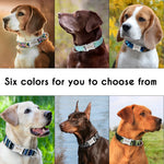 Personalized Dog Accessories Collar Nylon Printed Pet Puppy Collar Dog ID Collars Free Engraved ID for Small Medium Large Dogs - shimendi