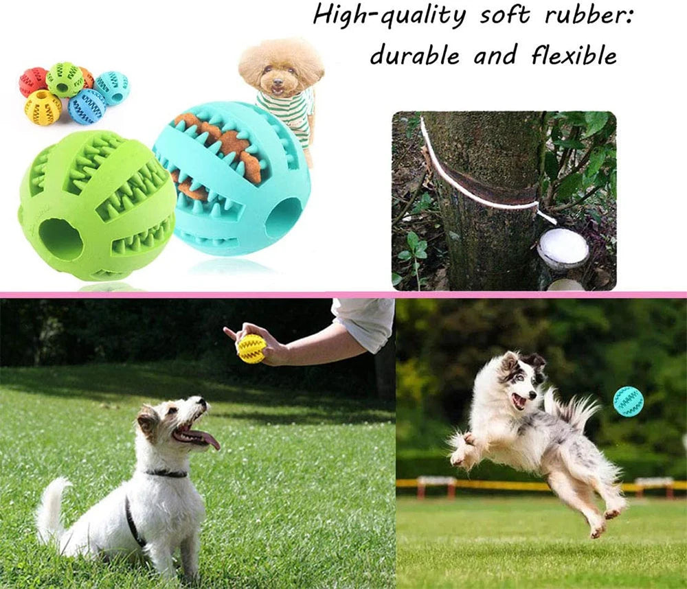 New Pet Dog Toy Interactive Rubber Balls for Small Large Dogs Puppy Cat Chewing Toys Pet Tooth Cleaning Indestructible Dog Ball