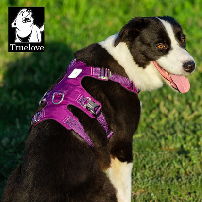TRUELOVE Pet Nylon Harness Light-weight Double-H Shape Embroidery 5 Adjustable Positions Medium and Large Dog Waterproof  YH1807