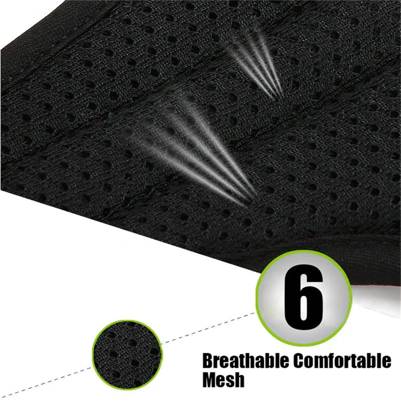 Truelove Pet Backpack Carrier Harness and Bag Space Waterproof Detachable Large Two Used for Outdoor Walking Hiking TLB2051