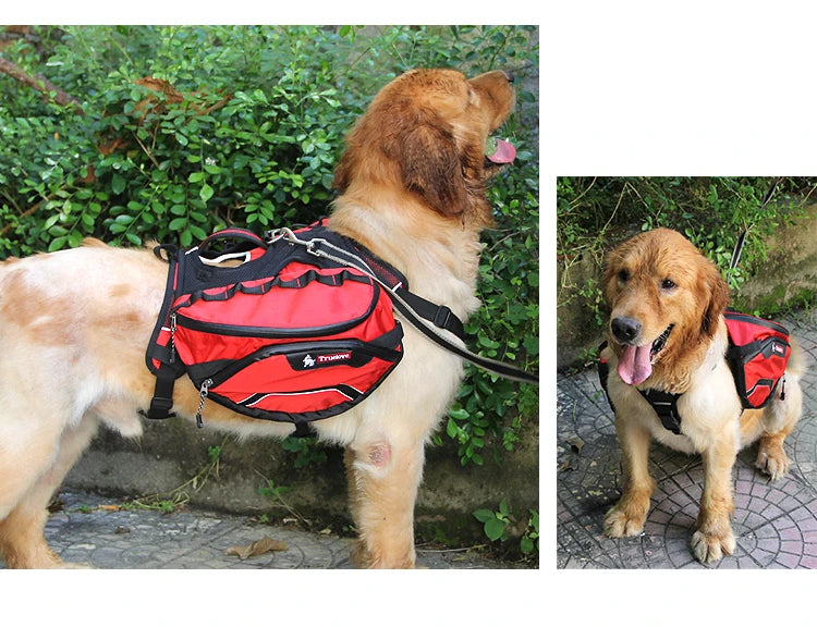 Truelove Pet Backpack Carrier Harness and Bag Space Waterproof Detachable Large Two Used for Outdoor Walking Hiking TLB2051