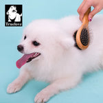Truelove Pet Double-sided Brush Comb Stainless Steel Needle Bristles Hair Brush Grooming Competition Vacation Cat Dog TLK23131 shimendi Sécurité et Confort pour Chien chat| Shimendi