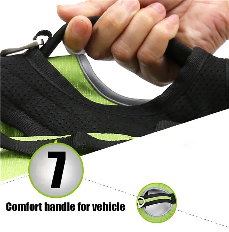 Truelove Pet Backpack Carrier Harness and Bag Space Waterproof Detachable Large Two Used for Outdoor Walking Hiking TLB2051