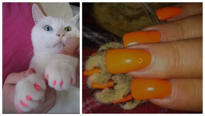 Cat Nail Caps Pet Cat Soft Paws Nail Protector Cover With Free Adhesive Glue + Applicator  20pcs/lot for Kitten