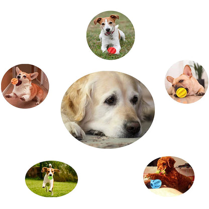 New Pet Dog Toy Interactive Rubber Balls for Small Large Dogs Puppy Cat Chewing Toys Pet Tooth Cleaning Indestructible Dog Ball