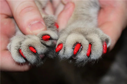 Cat Nail Caps Pet Cat Soft Paws Nail Protector Cover With Free Adhesive Glue + Applicator  20pcs/lot for Kitten