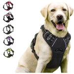 Dog Collars Harness Big Vests Leash Pet Shop Everything for Dogs Leather Puppy Accessories Medium Small Set - shimendi