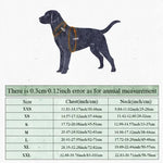 Truelove Pet Cooling Vest Summer Clothes Cooler Lightweight Jacket for Small and Big Dog Warm Winter and Cool for Beach TLG2511 - shimendi