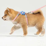 Cat Harness and Leash Sets Adjustable Dog Harness for Small Dog Leash Breashable Pet Harness Out Walking Dog Strap Cat Accessory shimendi Sécurité et Confort pour Chien chat| Shimendi