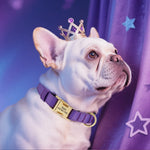 8 Colors Nylon Dog Collar Personalized Dog Collars Colorful Custom Pet ID Collars Necklace Breathable for Small Medium Dogs Pug - shimendi