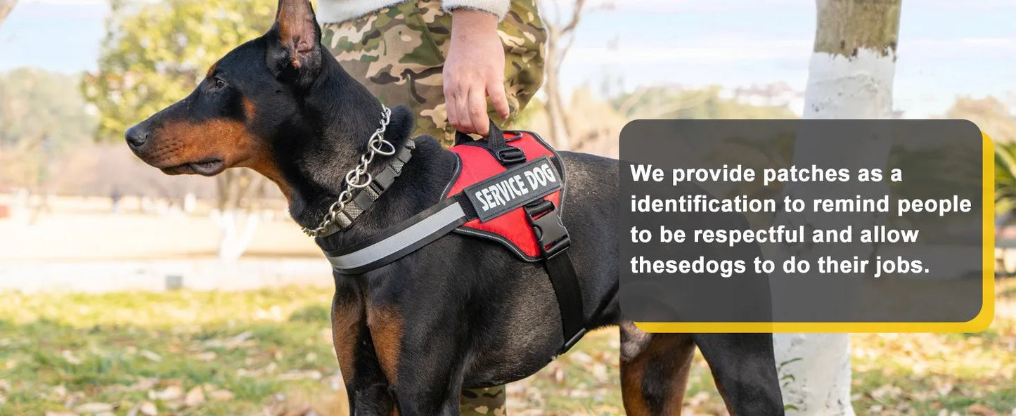 Chest Strap Dog Vest Harness Medium and Large Dog Border Collie Golden Hair Bucket Explosion proof Flushing Dog Harness