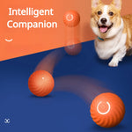 Smart Electric Ball Toy Gravity Jump Balls Dog Plaything USB Charging Automatic Teasing Dogs Artifact Intelligent Pet Cat Toys - shimendi