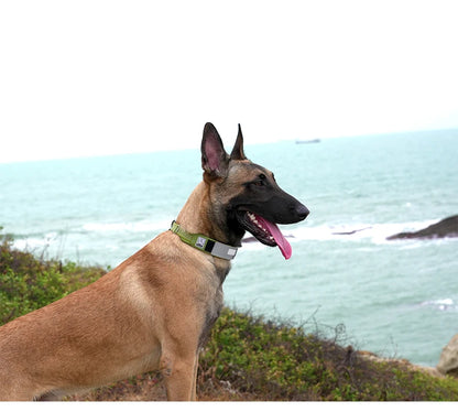 Truelove Pet Collar Reflective Multifunctional Personalized Dog Collar DuPont Soft Breathable Adjustable for Large Dogs TLC5611