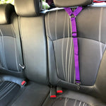 Solid Color Two-in-one Pet Car Seat Belt Nylon Lead Leash Backseat Safety Belt Adjustable Dogs Harness Collar Pet Accessories - shimendi