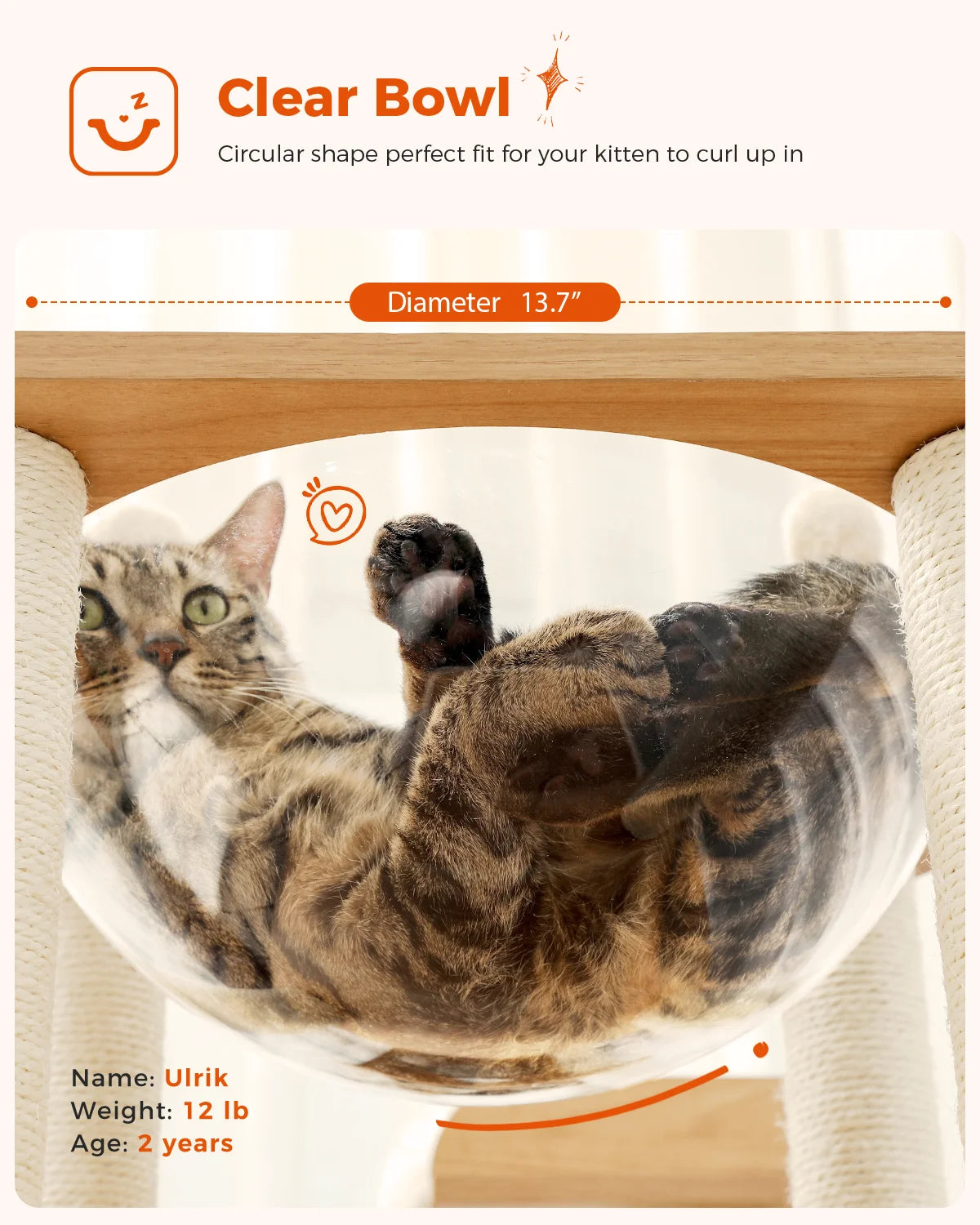 Multi-Level Cat Tree for Indoor Wood Cat Tower with Scratching Posts Spacious Condo Hammock Top Perch Cat Scratcher Cat Toys