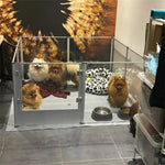 1Pc Large Acrylic Dog Playpen Cage Whelping Pen Box Indoor Enclosure Pet Clear Fence Puppy Playpen with Waterproof Fertility Pad shimendi Sécurité et Confort pour Chien chat| Shimendi