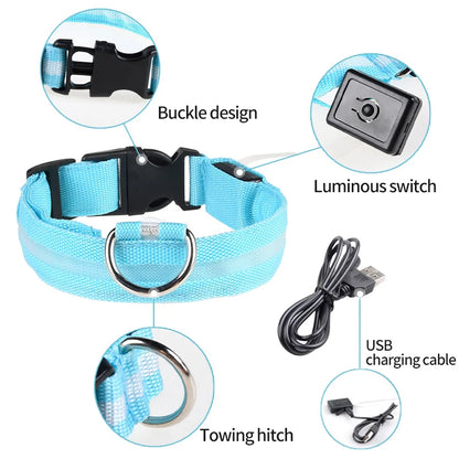 USB Charging LED Dog Collar Anti-lost Safety Night Light Luminous Dogs Necklace Adjustable Nylon Pet Glowing Collars Supplies