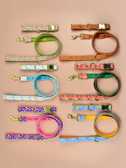 Luxury Brand Summer Colorful Season Adjutable Dog Collar And Leash Set For Small Medium Large Dogs