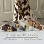 Multiple Colour Velvet Personalise Dog Collar Leash Set with Bow,Brown+Grey+White,Engraved Pet Name Plate Metal Buckle,Wedding P - shimendi