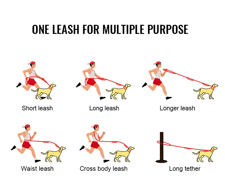 TRUELOVE Dog Leash Heavy Duty with Quick Release/Locking Frog Clip Waterproof Tactical Multi-function Bungee Cobra Buckle YL1833