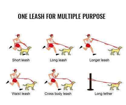 TRUELOVE Dog Leash Heavy Duty with Quick Release/Locking Frog Clip Waterproof Tactical Multi-function Bungee Cobra Buckle YL1833