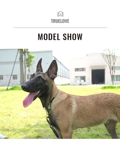 Truelove Pet P-Chain Nylon Dog Collar Stainless Steel Chain Pull-resistant Reflective Decorative Explosion-proof Walking TLC5373