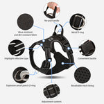 SMALL COMBINATION Dog Harness No Pull Reflective Pet Dog Chest Harness Adjustable for Small Medium Large Dogs Outdoor Walking shimendi Sécurité et Confort pour Chien chat| Shimendi