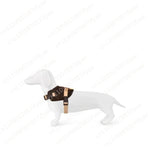 European and American cats and dogs, vest-type leashes, medium and small dogs, fashionable wear, walking dog breasts shimendi Sécurité et Confort pour Chien chat| Shimendi