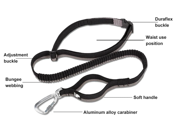 Truelove Pet Running Bungee Leash Hands Free Dog Leash Medium Large Dogs Professiona Carabiner Reflective Stitches NEW TLL2271